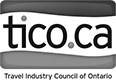 Toronto Marketing Consultants for TICO